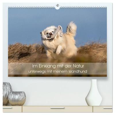 Im Einklang mit der Natur - unterwegs mit meinem Islandhund (hochwertiger Premium Wandkalender 2027 DIN A2 quer), Kunstdruck in Hochglanz