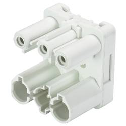Wieland Electric 92.030.5853.0 Verteiler