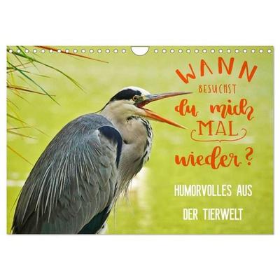 Humorvolles aus der Tierwelt (Wandkalender 2027 DIN A4 quer), CALVENDO Monatskalender