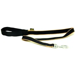 Arka Safran (25, Hund, Spazieren), Halsband + Leine