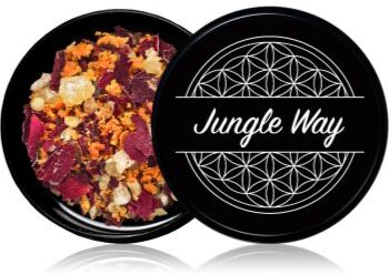 Jungle Way Creative Thoughts incensos 15 g. Creative Thoughts