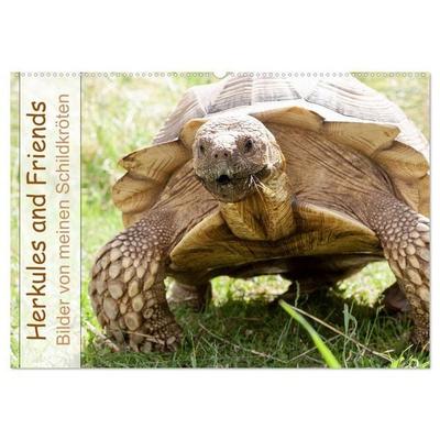 Herkules and Friends (Wandkalender 2027 DIN A2 quer), CALVENDO Monatskalender