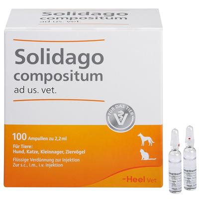 Solidago Compositum ad us.vet.Ampullen 100 St Ampullen