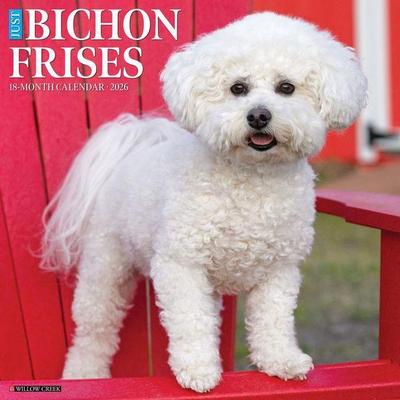 Bichon Frises 2026 Wall Calendar