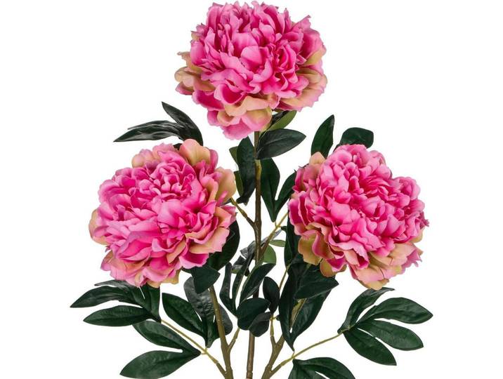 Kunstblumen Pfingstrosen 74 cm, Rosa, Kunststoff, 38 cm, Dekoration, Blumen & Blumentöpfe, Kunstblumen