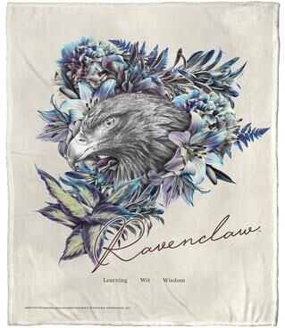 Warner Brothers Harry Potter Ravenclaw Silk Touch Throw Blanket
