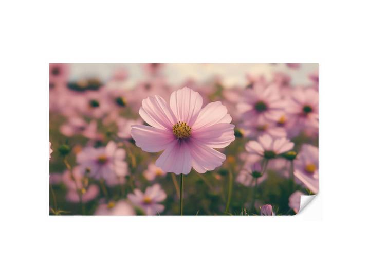 OnlyWow Tapete - Blumen - Lila - Unscharf - 500x280 cm, Rosa, Papier, Rechteckig, 500x280 cm, Tapeten & Wandverkleidungen, Vliestapeten