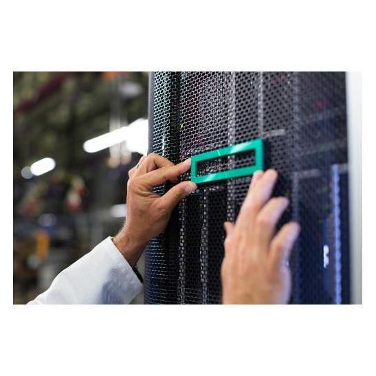 HPE DL20 GEN11 2LFF/4SFF PCIE CBL KIT Small Form Factor (SFF) Kabelmanagement-Set (P65413-B21)