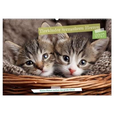 Tierkinder verzaubern Herzen (Wandkalender 2027 DIN A2 quer), CALVENDO Monatskalender