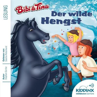 Der wilde Hengst - Stephan Gürtler, Audio, 4033694231067