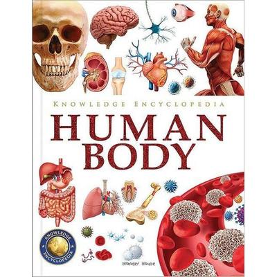 Knowledge Encyclopedia Human Body, Gebundene Ausgabe von Wonder House Books, Prakash Books, 978-93-5440-411-5