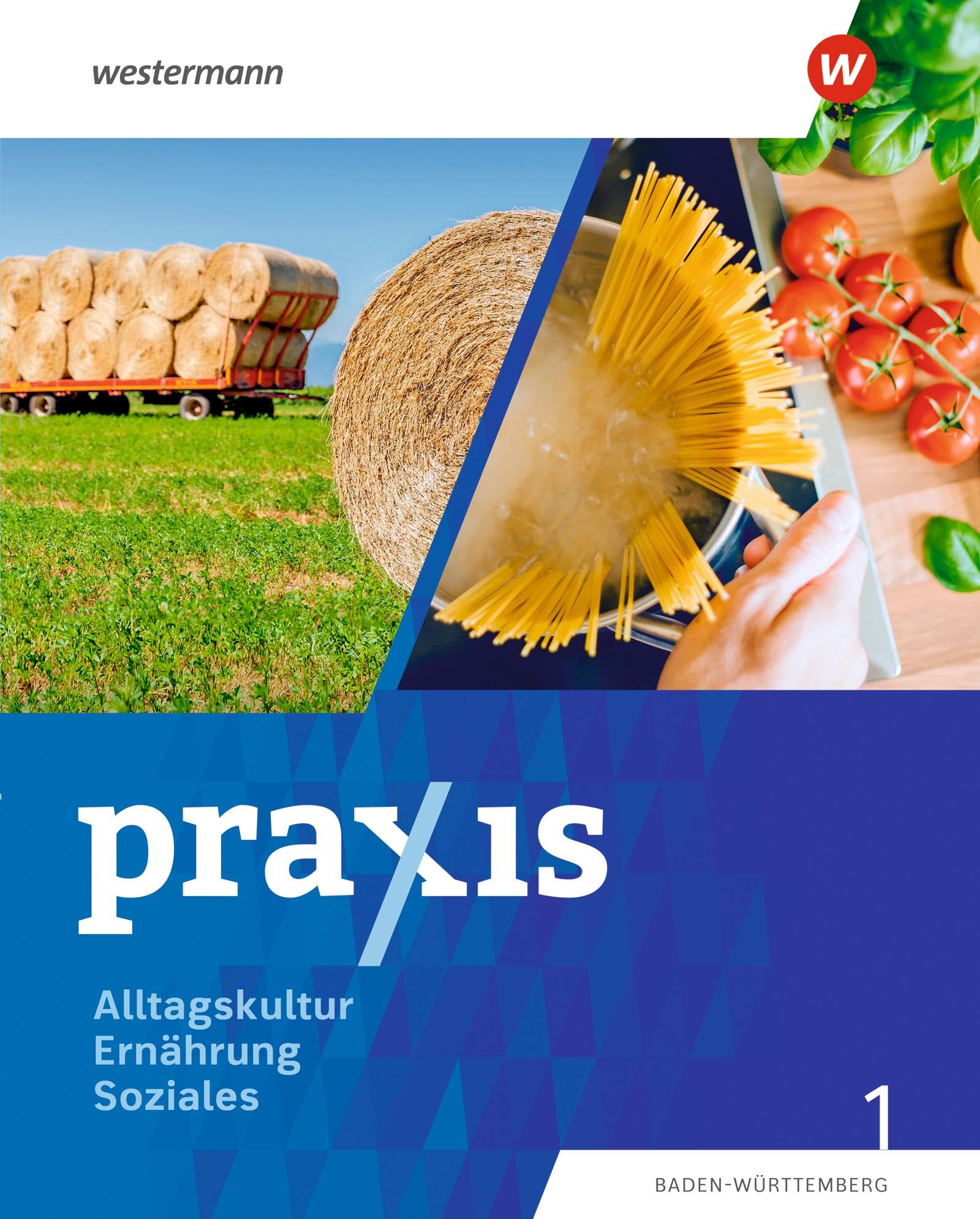 Kathrin Auer - Praxis Alltagskultur - Ernährung - Soziales (AES): Schulbuch 1 7./8. Schuljahr (Praxis - AES: Ausgabe 2024 für Baden-Württemberg) - Preis vom 19.10.2026 19:33:35 h