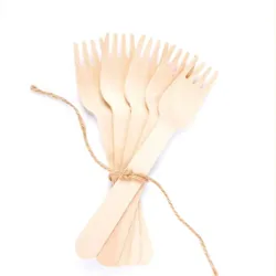 Ekoe Plastic Free Solutions Ekoe Ökologische Einweg-Holzgabel 16,5 cm 1000 Stk