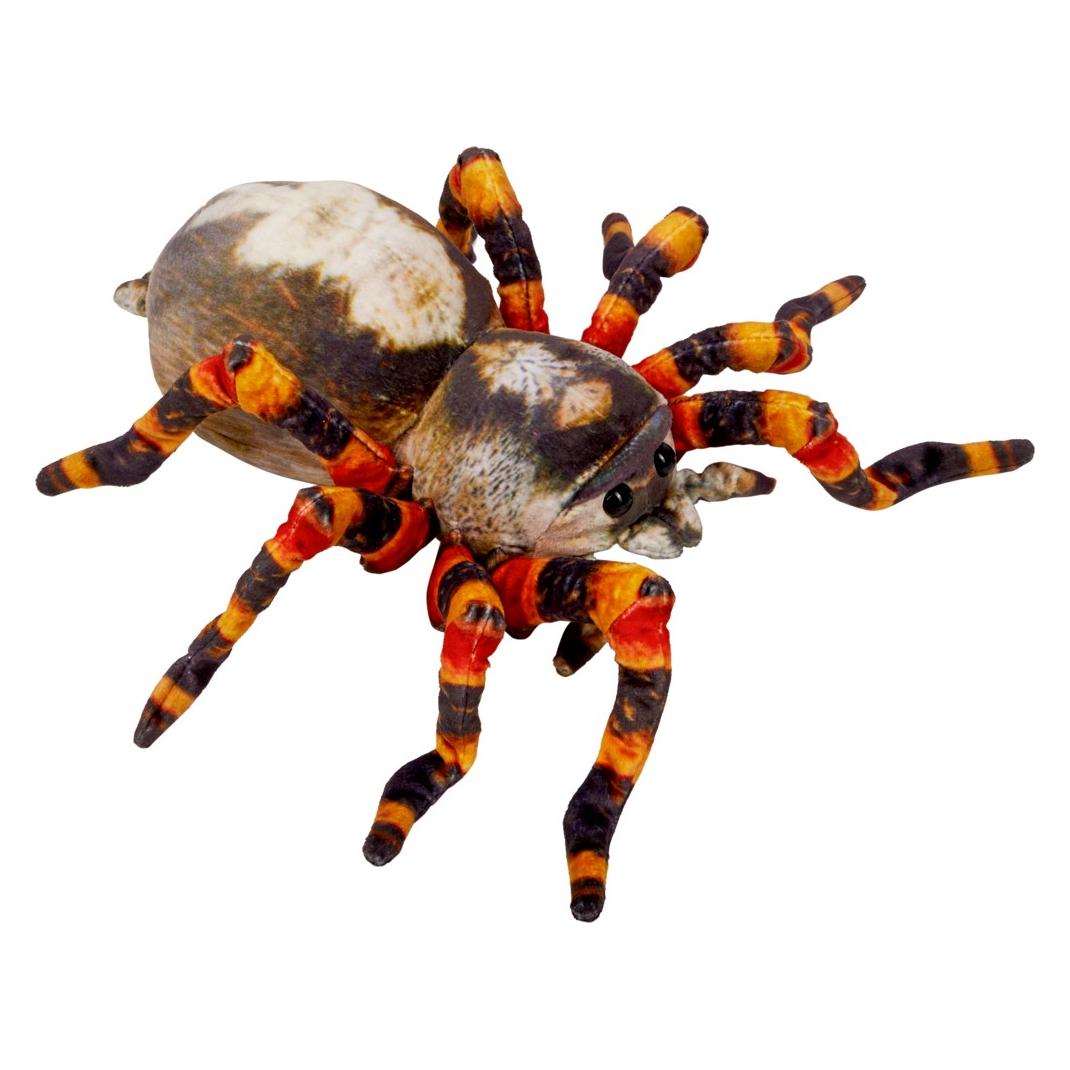 Coppenrath Spinne Nature Zoom Wild (37 cm) (44518119)