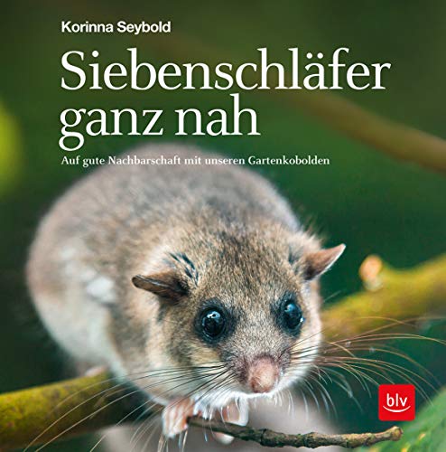 Korinna Seybold - Siebenschläfer ganz nah: Auf gute Nachbarschaft mit unseren Gartenkobolden (Natur) - Preis vom 02.10.2026 23:42:20 h