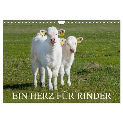 Ein Herz für Rinder (Wandkalender 2026 DIN A4 quer), CALVENDO Monatskalender