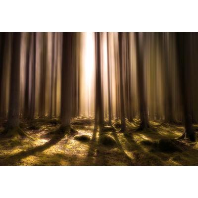 Fototapete PAPERMOON "Photo-Art CHRISTIAN LINDSTEN, ATEM DES LEBENS", bunt, B:4m L:2,6m, Vlies, Tapeten