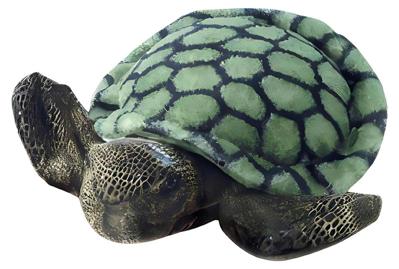 Aurora MF SPLISH-SPLASH SEA TURTLE