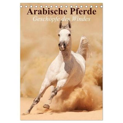 Arabische Pferde • Geschöpfe des Windes (Tischkalender 2027 DIN A5 hoch), CALVENDO Monatskalender