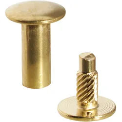 100 Buchschrauben mit Einpresskopf, vermessingt 15 mm, Metall, gold