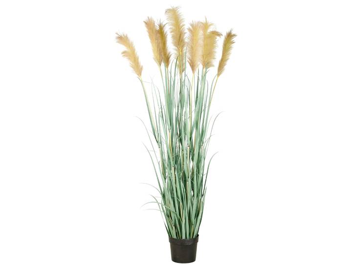 Kunstgras CREATIV GREEN Grasbusch Cortaderia , grün (grün natur), H:175cm, Kunststoff, Kunstpflanzen, Kunstgras, in opulenter Größe