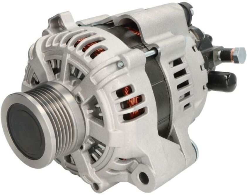 PULSAR PSR10129 Laturi