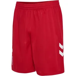 hummel DBU Dänemark Heimshorts 2026 3365 - tango red XXL