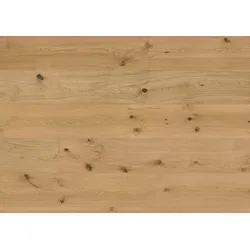 ter Hürne Noblesse Collection Hywood Eiche Caledonian Forest rustic gebürstet Schlossdiele 2375x270x11 mm