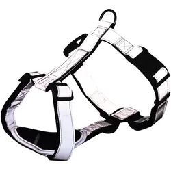 Trixie Premium Reflect H-harness, S–M: 45–60 cm/20 mm, graphite (Hund, Hundesport), Halsband + Leine
