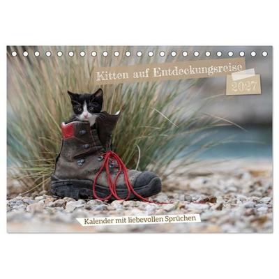 Kitten auf Entdeckungsreise (Tischkalender 2027 DIN A5 quer), CALVENDO Monatskalender
