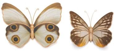 Amber Butterfly and Moth Shelf Sitter (Set of 2) by Melrose in White/brown/orange