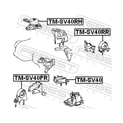 FEBEST Lagerung, Motor TM-SV40 mitte für TOYOTA