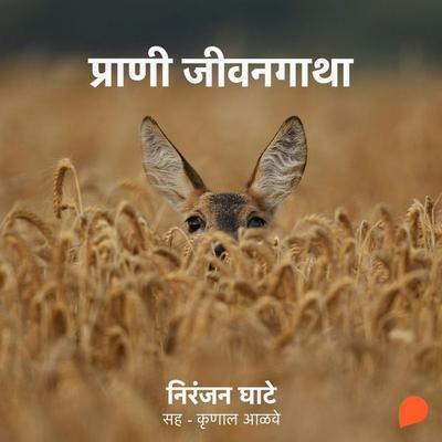 Praani Jeevangatha - Niranjan Sinhendra Ghate, Audio, 9789369315635