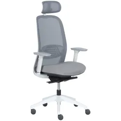 Carmen PANTIN Ergonomischer Bürostuhl mit Netzrücken, Kopfstütze, Lordosenstütze und 2D-Armlehnen – Grau