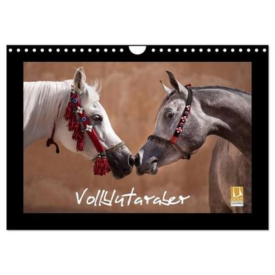 Vollblutaraber (Wandkalender 2027 DIN A4 quer), CALVENDO Monatskalender