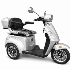 Urban Hopper E-Motorroller Elektro Seniorenmobil 3-Rad Elektroroller Urban Hopper Best Ager Li Silber