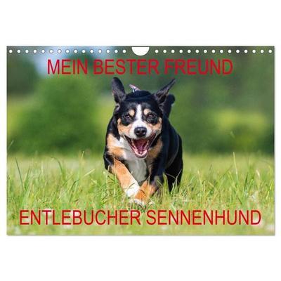 Mein bester Freund - Entlebucher Sennenhund (Wandkalender 2027 DIN A4 quer), CALVENDO Monatskalender