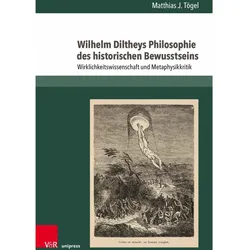 Wilhelm Diltheys Philosophie des historischen Bewusstseins, Sachbücher von Matthias J. Tögel