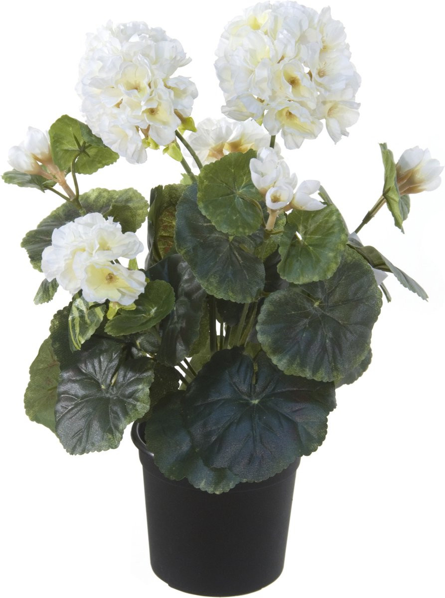 Louis Maes Kunstplant Geranium wit in pot Hoogte: 33 cm