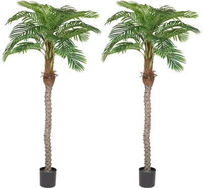 Northlight Artificial Potted Palm Trees - 6' - Set of 2