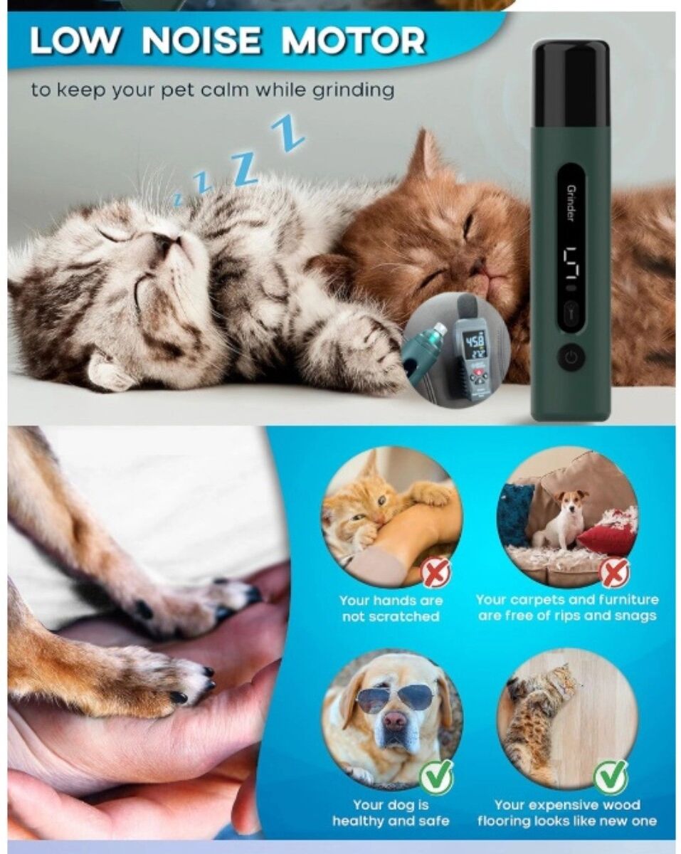INF Elektrischer Krallenschleifer für Hunde und Katzen mit Spritzschutz, Staubschwamm und mehreren Schleifköpfen Grün