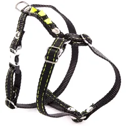 Martin Sellier Fluoreszierendes Hundegeschirr (Hund, Spazieren), Halsband + Leine