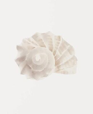 Uplifted Finds Watercolor Seashore Canvas   Coastal Shell & Starfish Print   Executive Studio & Beachfront Sanctuary Decor 6 1 Pc 40 X 60 Cm No Frame