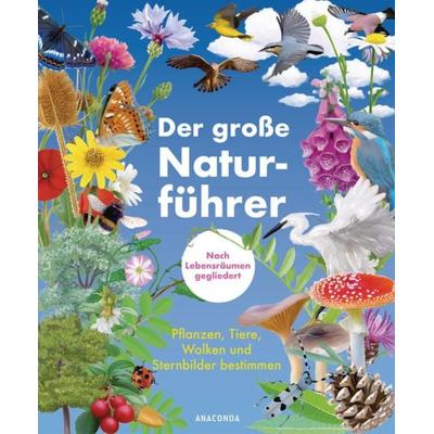 Der große Naturführer. Pflanzen, Tiere, Wolken und Sternbilder bestimmen. Nach Lebensräumen gegliedert, Gebundene Ausgabe von Morgane Peyrot,Blandine