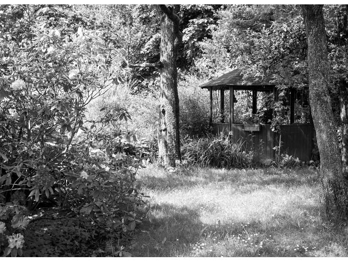 Papermoon Garten Schwarz & Weiß