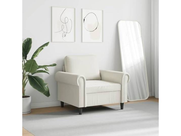 KTHLBRH Sessel aus Pannesamt, 60 cm, Sitzbreite Robustes Metallgestell, weicher Schaumstoff, modernes Design, maximale Belastung 110 kg