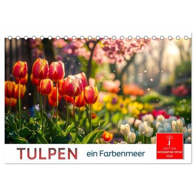 Tulpen - ein Farbenmeer (Tischkalender 2026 DIN A5 quer), CALVENDO Monatskalender