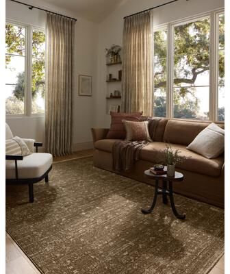 Alexander Home Halden Traditional Area Rug