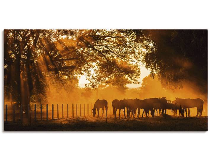 Leinwandbild ARTLAND Goldenes Licht auf der Pferdewiese , orange (farbe bild(er): orange), B:150cm H:75cm, Bilder, Leinwandbild, auf Holzrahmen gespannt