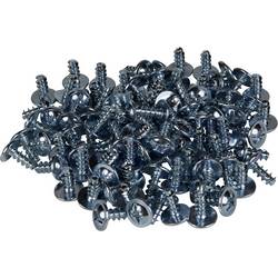 Schneider Electric NSYAMFSTB Schraube (Ø x H) 4 mm x 10 mm 1 St.